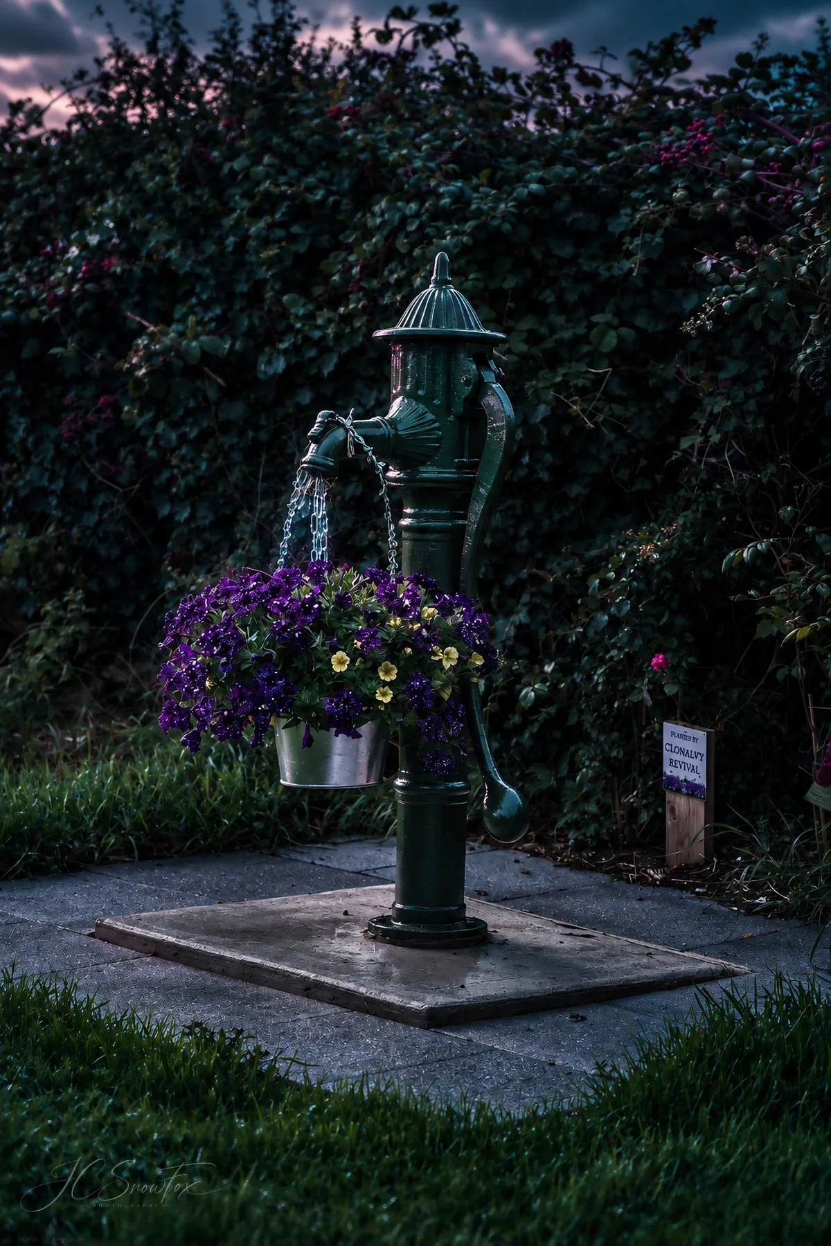 An old green village water pump decorated with purple flowers