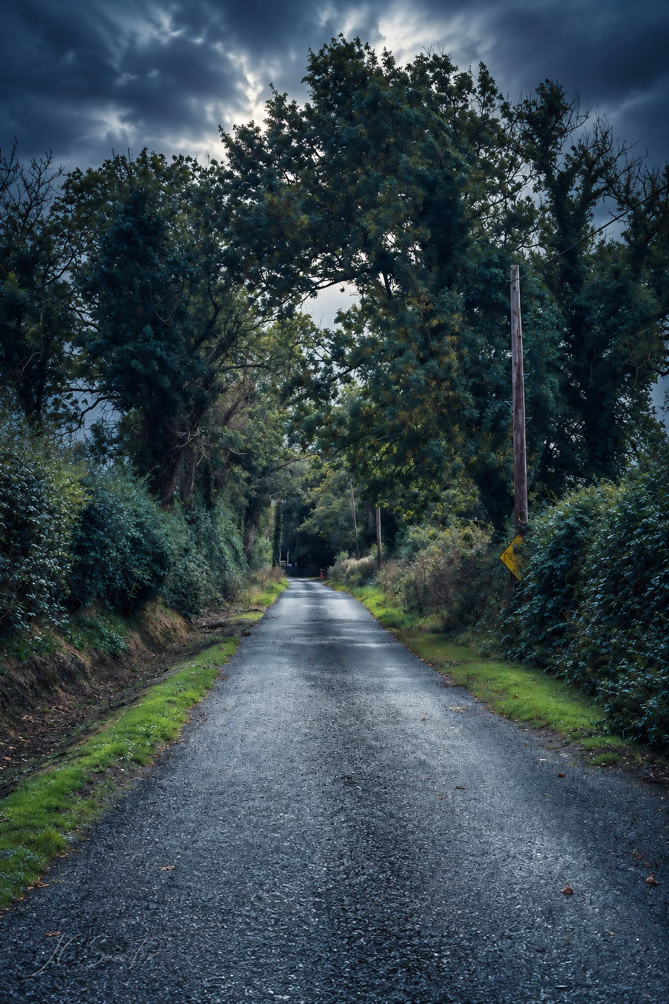 A narrow wet country lane disappearing beneath a tunnel of trees and storm clouds