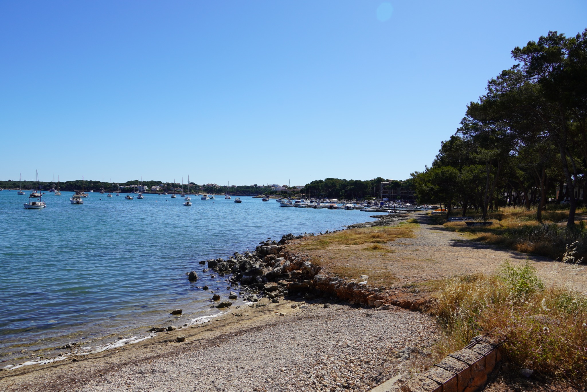 A rocky Mediterranean shoreline curving toward moored boats and pines