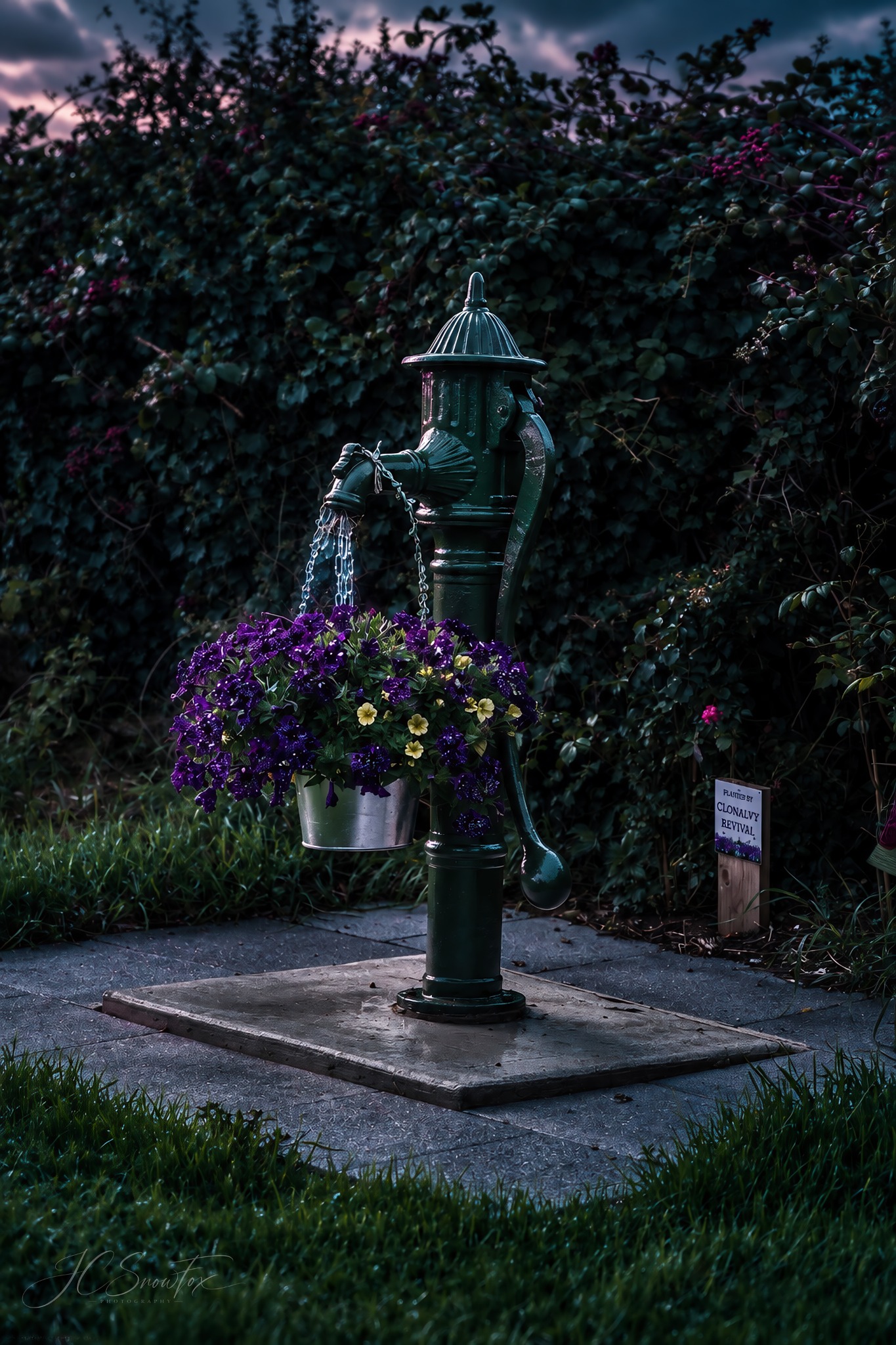 A historic green village water pump decorated with purple flowers